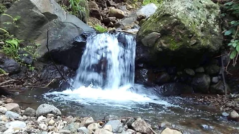Small waterfall stream on small river stream on the muria mountain Stock Footage 124684528