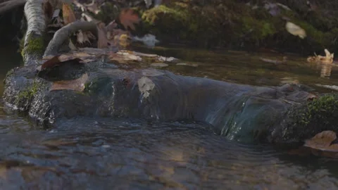 Small Waterfall in Stream - Tilted Vídeo Stock 235221080