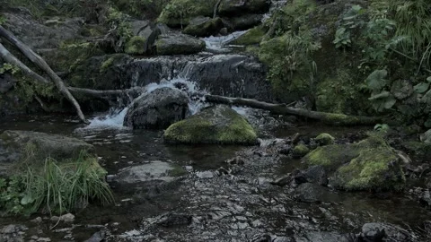 Small waterfall in summer forest. Stock Footage 150169861