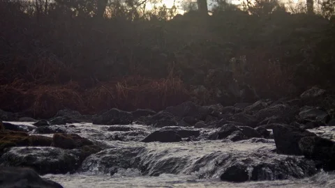 Small waterfall at sunset Video stock 82362321