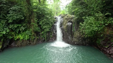 Small waterfall surrounded by jungle with mangroves on Bali island Stock Footage 339926328