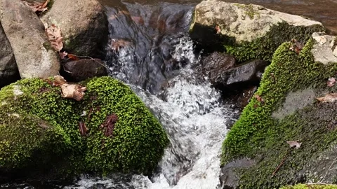 Small waterfall surrounded by moss covered stones 스톡 동영상 271185723