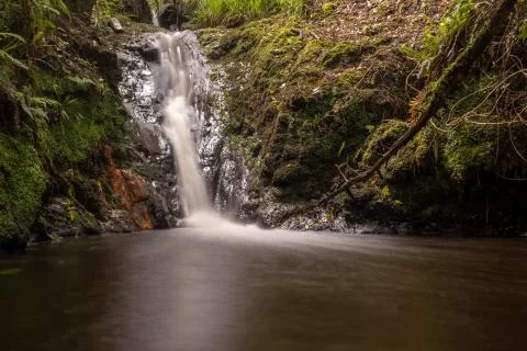 A small waterfall surrounded by rocks and green moss in the middle of a fores Stock Photos
