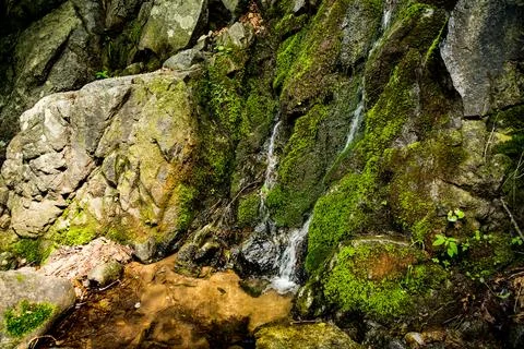 A small waterfall is surrounded by soft mosscovered rocks Stock Photos