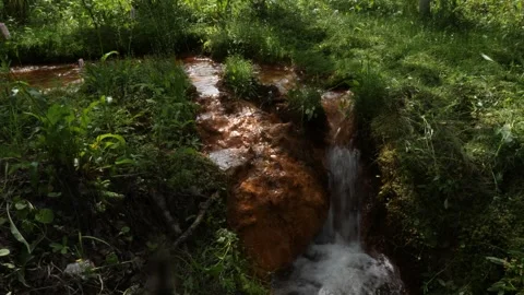 Small waterfall in the swamp in Siberia Stock Footage 282916819