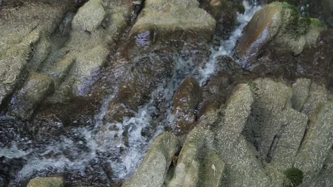 Small Waterfall top View. Slowmotion Video stock 101435807