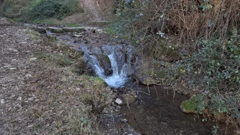 Small waterfall with a tranquil mountain creek flowing through a serene forest Stock Footage 296500723