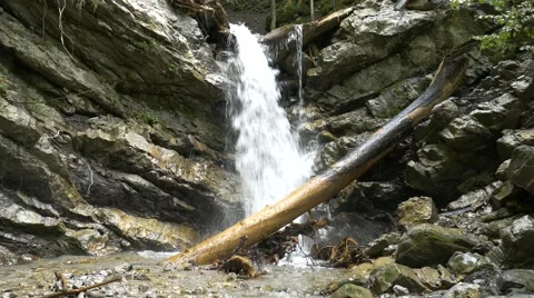 Small waterfall with tree Stock Footage 56163621
