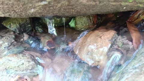 Small waterfall trickling between rocks Stock Footage 316975237