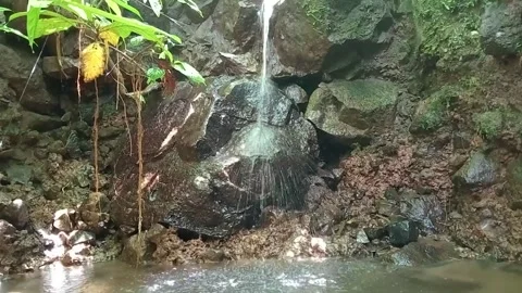 Small Waterfall in Tropical Forest – Flowing Water Over Mossy Rocks Stock Footage 329780054