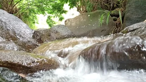 Small Waterfall in Tropical Forest – Flowing Stream Over Stones Stock Footage 330547559