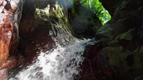 A small waterfall in the tropical jungle 库存影片 251991033