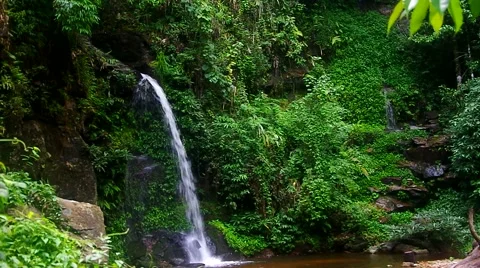 Small waterfall in tropical rain forest Video stock 55681502