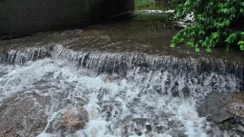 Small Waterfall Under Bridge – Loud Flowing Water – Trail Nature Ambience Stock Footage 333538187