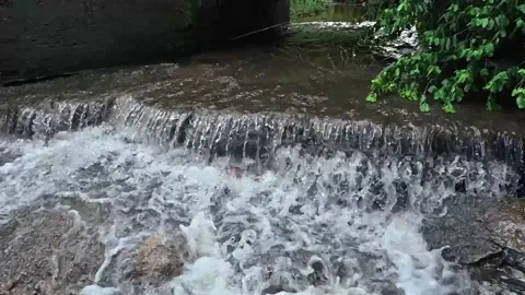 Small Waterfall Under Bridge – Nature Trail Footage (No Audio) Stock Footage 333804301