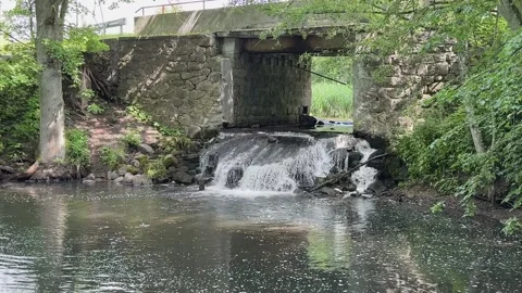 Small waterfall under stone bridge Video stock 317811881
