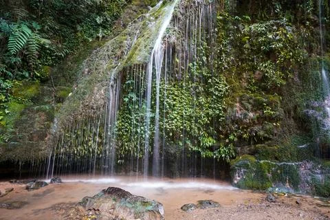 Small waterfall in the valley. Surrounded by moss, ferns and other green plants. Stock Photos
