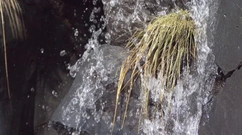 Small waterfall on volcanic rock Stock Footage 52074845
