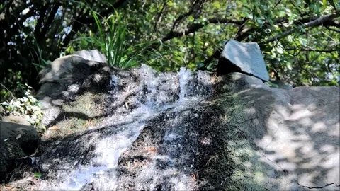 Small waterfall in the Vorontsov palace park, Crimea, Russia. August 2016 Stock Footage 77863040