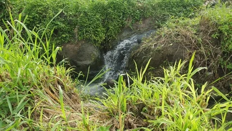 Small waterfall in the water channel Stock Footage 302318771