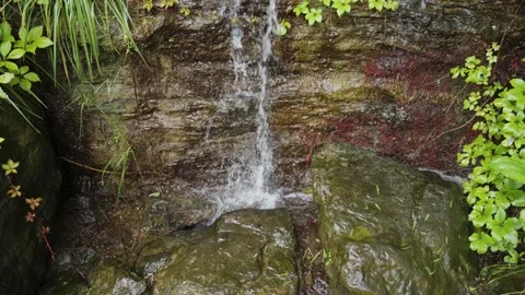 Small waterfall water flow summer Stock Footage 202237364