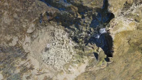 Small waterfall, water is flowing in a tiny rock pool, clear water, ecosystem Video stock 165739251