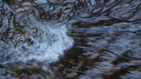 Small waterfall in waterfall valley, Blue Mountains NP Stock Footage 71602020