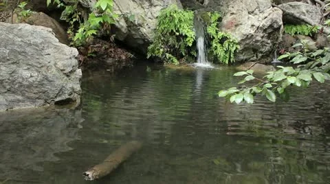 Small Waterfall Wide Angle Video stock 11334938