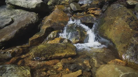 Small waterfall in the wild forest close up with natural sound Stock Footage 153244945