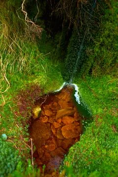 Small waterfall in wild forest with trees, grass and moss. Stock Photos