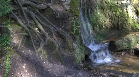 Small waterfall in wood Stock Footage 49093555
