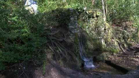 Small waterfall in wooded area Stock Footage 49093523