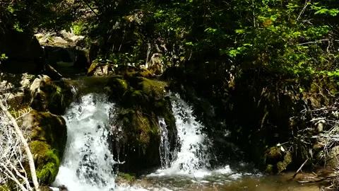 A small waterfall in the woods Stock Footage 183300066