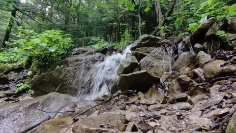 Small waterfall in the woods Stock Footage 310966004