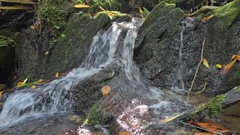 Small Waterfall in the Woods Horizontal Stock Footage 318958738