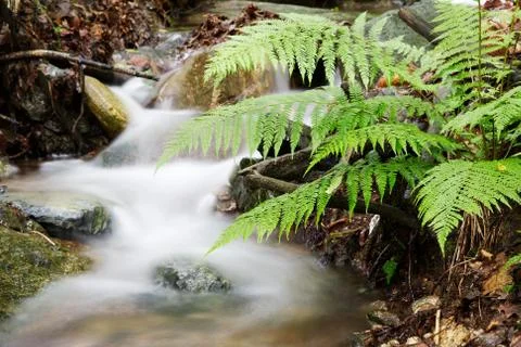 Small waterfall in the woods Stock Photos