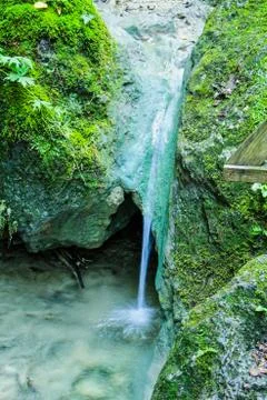 A small waterfall in the woods Stock Photos