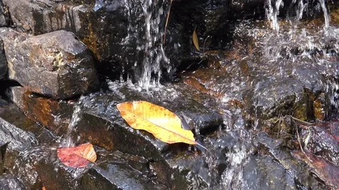 Small waterfall with yellow leaves Stockbeeldmateriaal 76640070