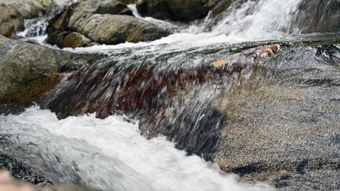 Small waterfalls and rapids in a river surrounded by nature Stock Footage 126937432