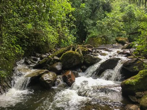 Small waterfalls cascading under a rustic wooden footbridge in the jungle Stock-Fotos