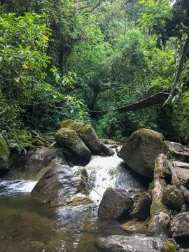 Small waterfalls cascading under a rustic wooden footbridge in the jungle Stock-Fotos