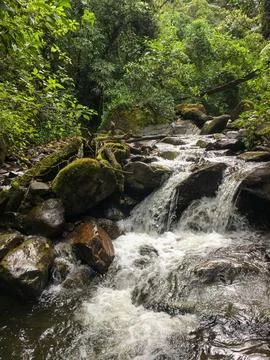 Small waterfalls cascading under a rustic wooden footbridge in the jungle Stock Photos