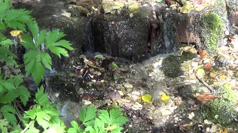 Small waterfalls in the creek Stock-Footage 53913467
