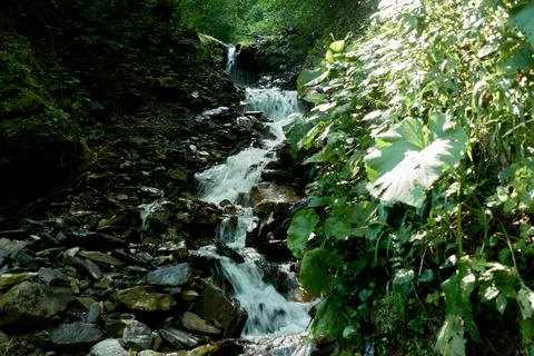 Small waterfalls flow down the rocks. Mountain stream with clear water. Foto stock