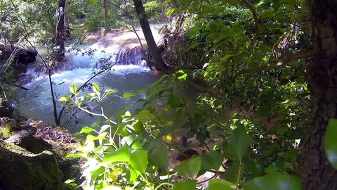 Small waterfalls Stock Footage 98680072