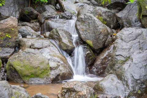 Small waterfalls in the forest 스톡 사진