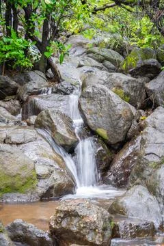 Small waterfalls in the forest 写真素材