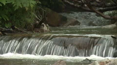 Small waterfalls on the forest river Stock Footage 52816831