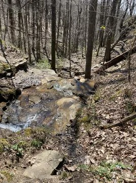 Small Waterfalls In The Forrest Stock Photos