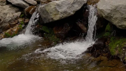 Small waterfalls pouring into a clear forest stream Vídeo Stock 340149335